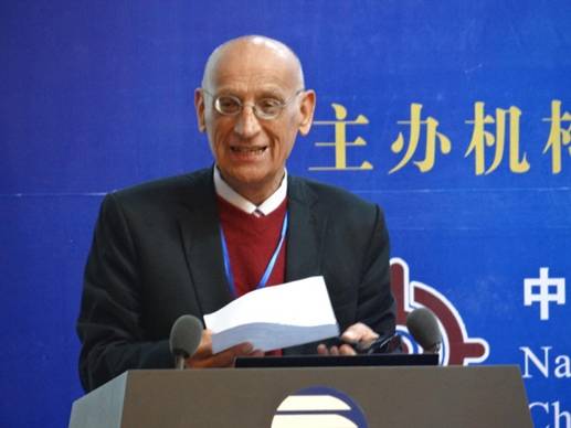 完善新型智庫服務機制 推動中伊合作落實