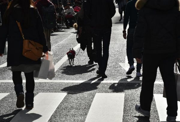 股市暴跌、日元升值致日本“安倍經濟學”陷危機