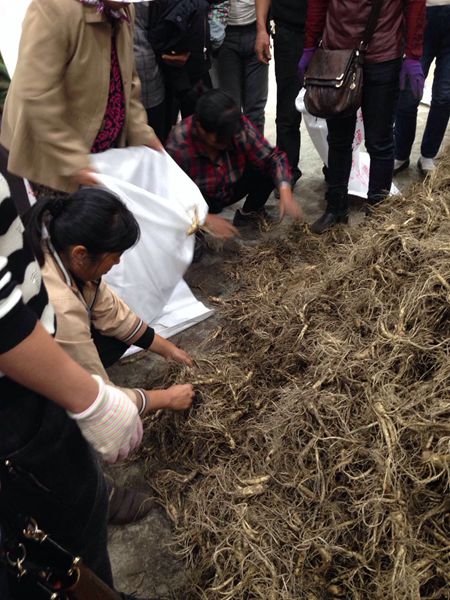 國家級人參市場助推人參產品進軍國際