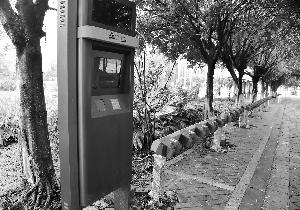 公共自行車或設學生價可按學期租