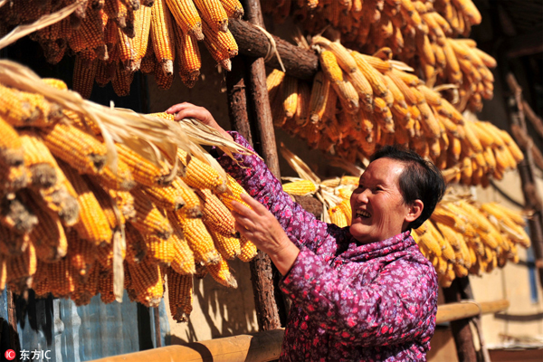 統(tǒng)計(jì)局：2016年全國(guó)糧食再獲豐收