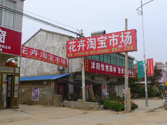 世界銀行點(diǎn)贊中國“淘寶村”：助農(nóng)民變成企業(yè)家 應(yīng)推廣至全球