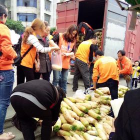 不忍看著30噸蘿卜爛地里!村淘小二們幫75歲大爺賣完了