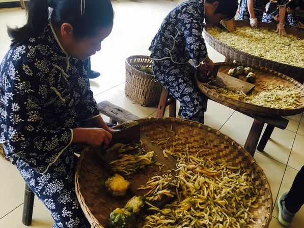 “工業+旅游”模式升級：成助力涪陵脫貧發展的加速器