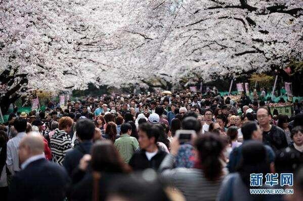 日本去年向中國人發(fā)放簽證數(shù)再創(chuàng)新高 增幅高達(dá)12%