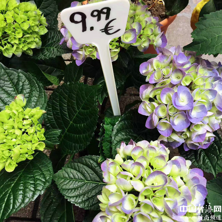 旅途中除了美景、美食 還有一些你不容錯過的事