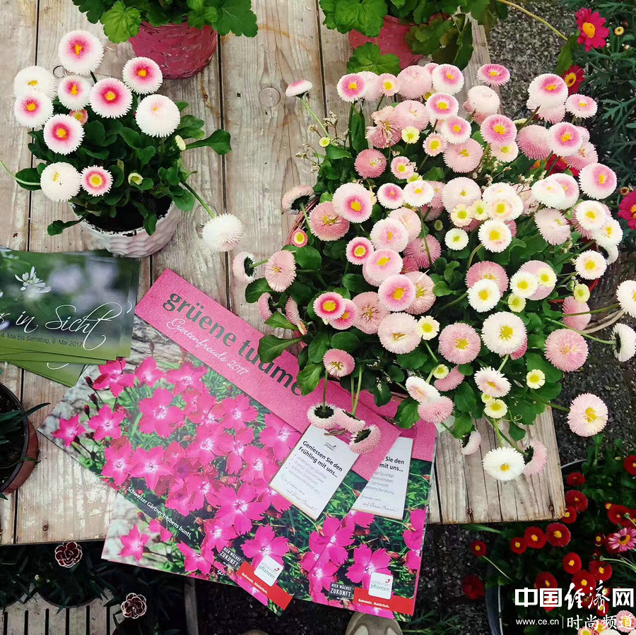 旅途中除了美景、美食 還有一些你不容錯(cuò)過的事