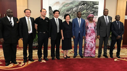 趙白鴿：“一帶一路”為中非進一步合作提供新機遇