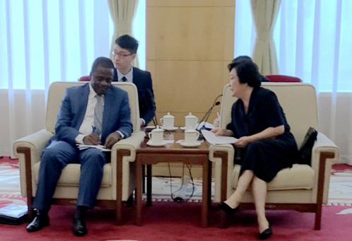 趙白鴿：“一帶一路”為中非進一步合作提供新機遇