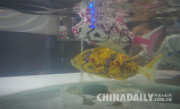 以假亂真！“機(jī)器魚”暢游2017世界機(jī)器人大會