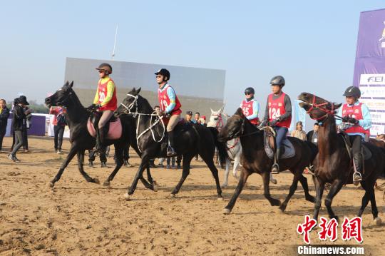 安徽碭山國際馬術耐力賽開跑 17國百余名運動員參賽