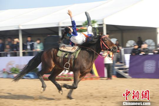 安徽碭山國際馬術耐力賽開跑 17國百余名運動員參賽