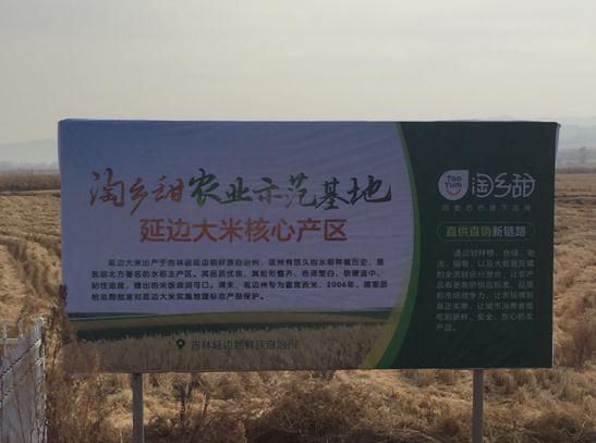 農村淘寶全國23個示范基地掛牌 聯合天貓盒馬零售通落地新零售