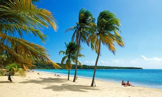 資本主義的最大成就:替億萬富翁打造離岸天堂