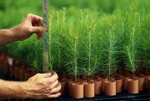 12月新規(guī)來了！都是好消息 第一條就讓你超省錢