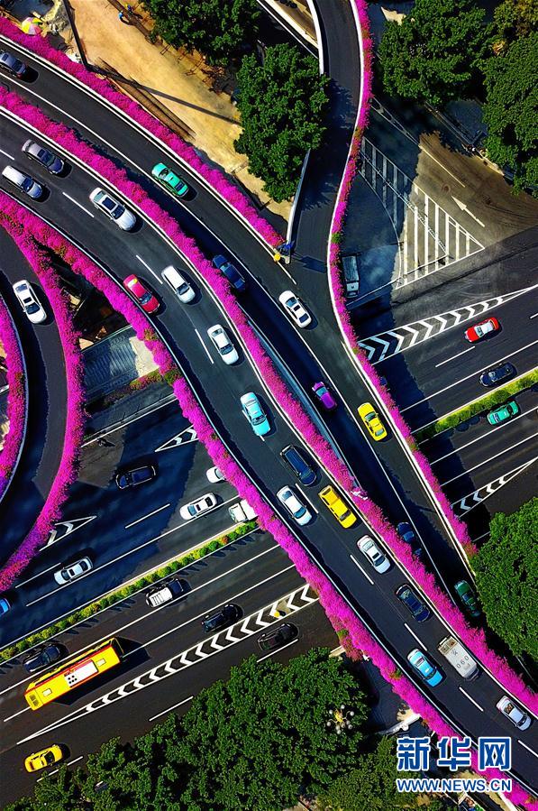 廣州：燈海花城向世界展示“財(cái)富美”