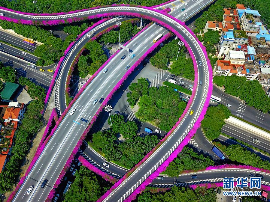 廣州：燈海花城向世界展示“財(cái)富美”