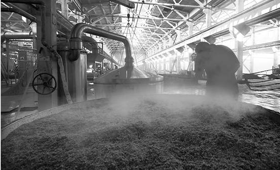 古井小罍子，小酒大有前途