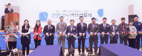 比亞迪電動巴士登陸濟州島 成功駛入韓國市場