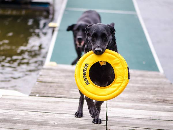 美國(guó)10大宜居縣郡 美東岸占8個(gè)西岸一個(gè)沒(méi)有