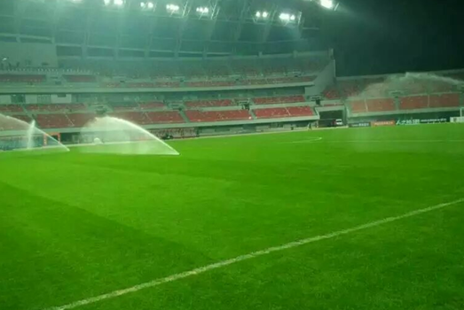 中綠恒掛牌新三板 填補草坪行業空白