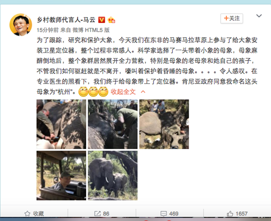 有只遠(yuǎn)在非洲的大象,馬云將它命名為“杭州”