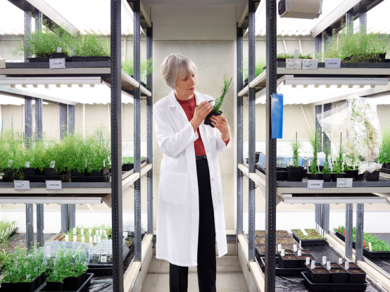 中國科學院院士、古脊椎動物學家張彌曼教授榮膺2018年度歐萊雅-聯合國教科文組織“世界杰出女科學家成就獎”